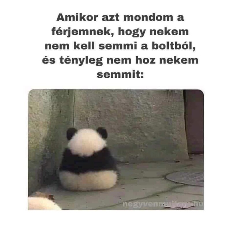 621442379_1482397720560770_36477765511502464_n