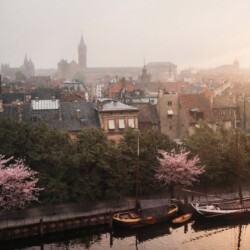 IMG_20260412_011238_931