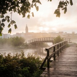 IMG_20260412_011239_283