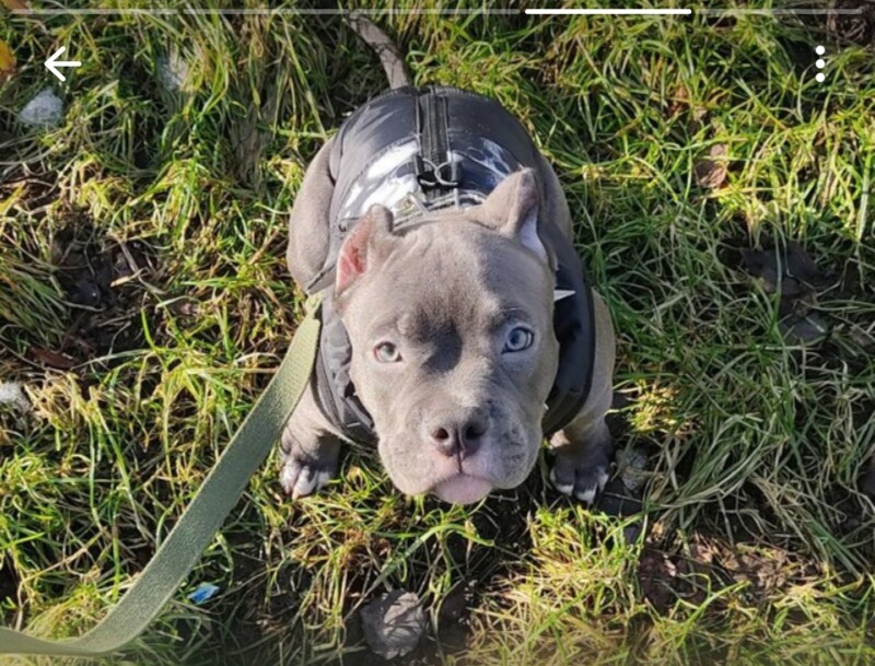 screenshot_20260311_161259_telegram